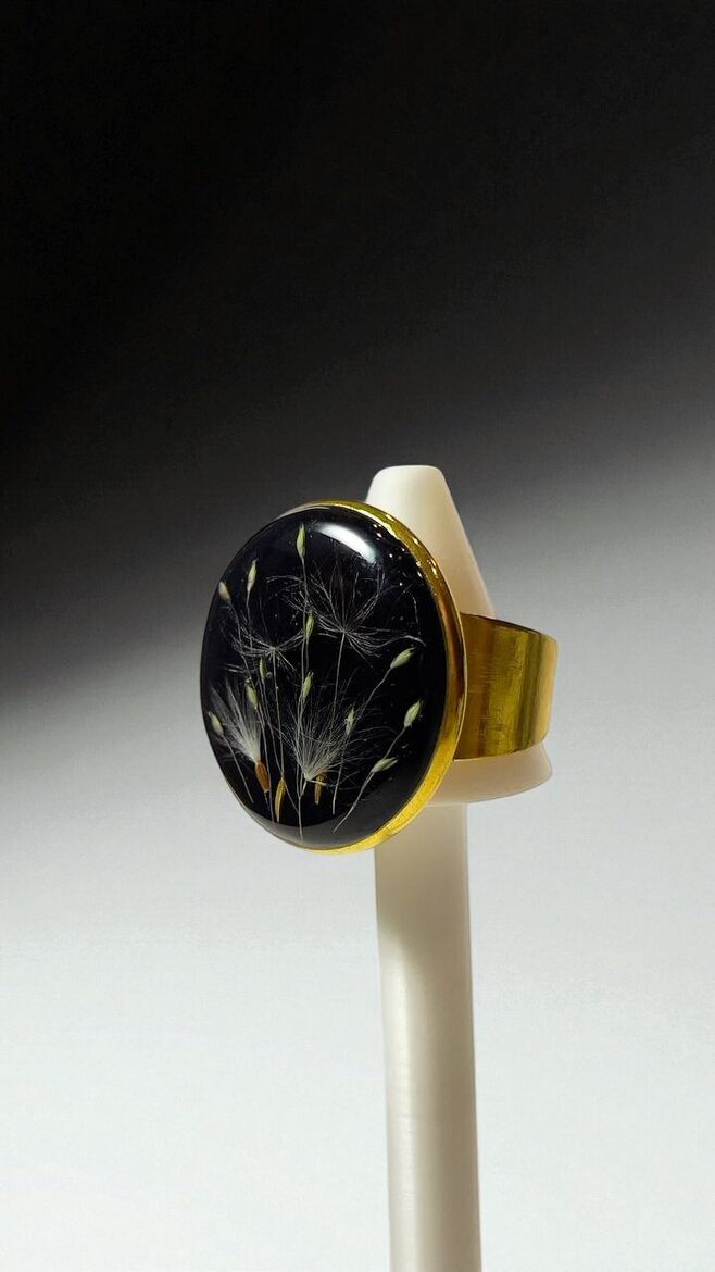 Melns gredzens ar pieneņpūkām